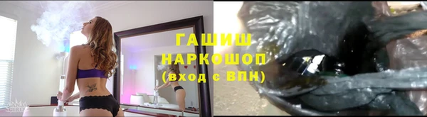 стаф Богородск