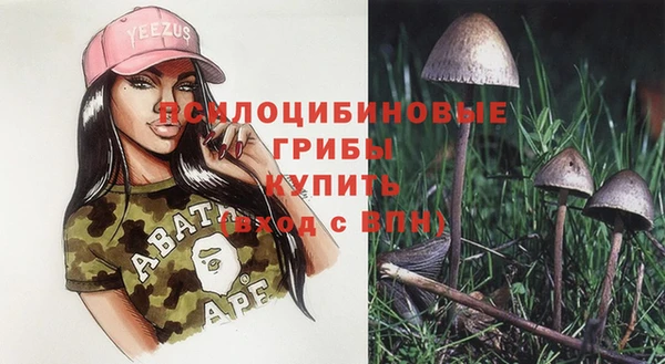 стаф Богородск