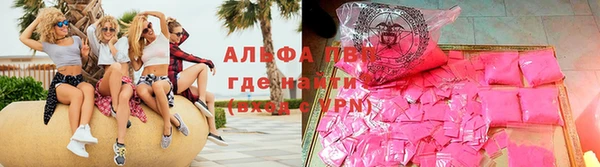 стаф Богородск