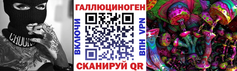 где найти Дальнегорск Псилоцибиновые грибы мицелий