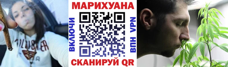 что такое   Дальнегорск  Марихуана сатива 